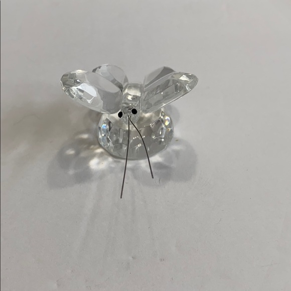 Butterfly 🦋 - Picture 2 of 2